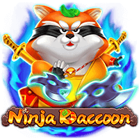  Ninja Raccoon
