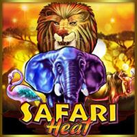  Safari Heat